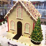Myer Gingerbread House